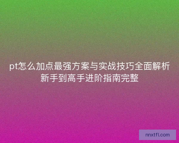 pt怎么加点最强方案与实战技巧全面解析新手到高手进阶指南完整